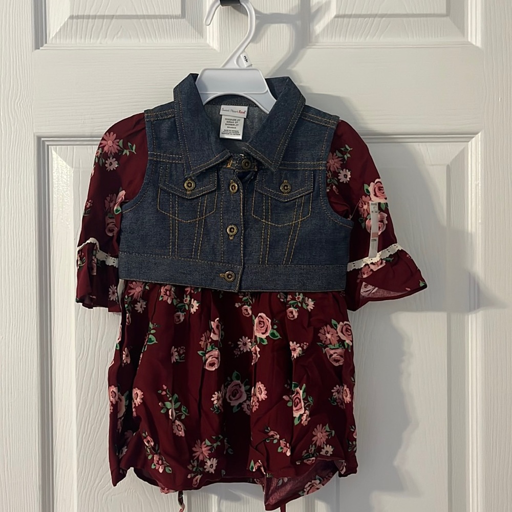 NWT 2T one piece dress and vest!